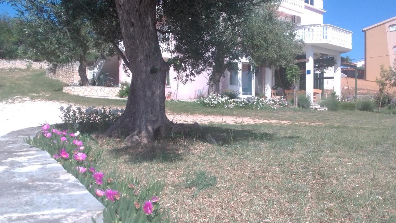 Apartments Sara Posedarje Exterior foto